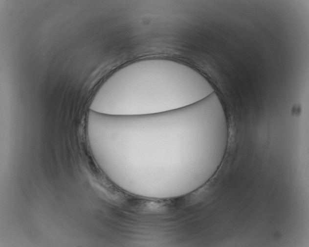 X0000111900166200907271019