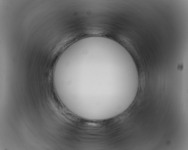 X0000111900167200907271019