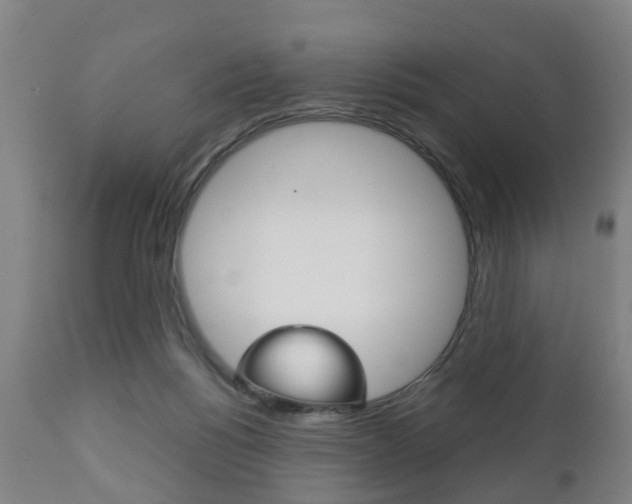 X0000111900168200907271019