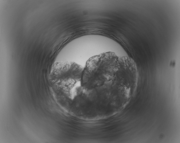 X0000111900169200907271019