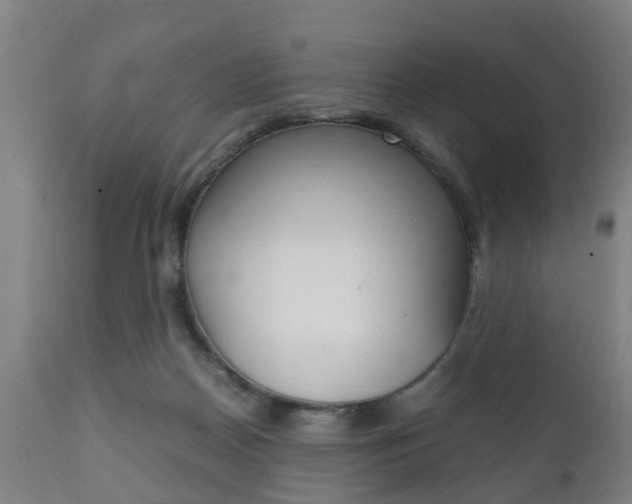 X0000111900170200907271019