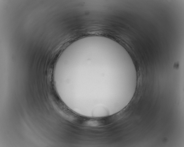 X0000111900171200907271019