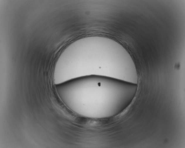 X0000111900174200907271019