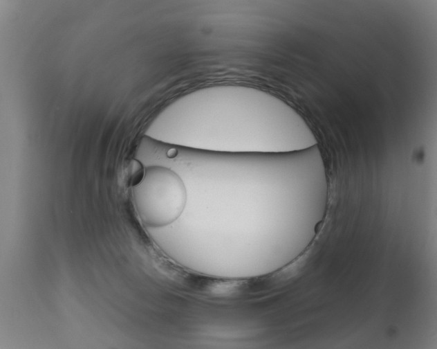 X0000111900178200907271019