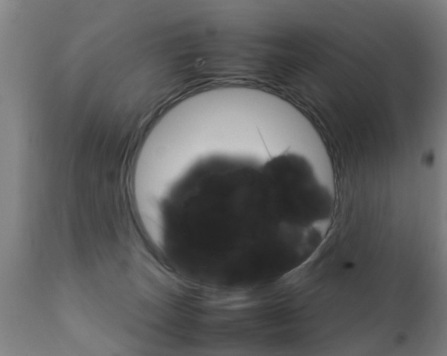 X0000111900179200907271019