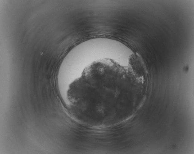 X0000111900181200907271019