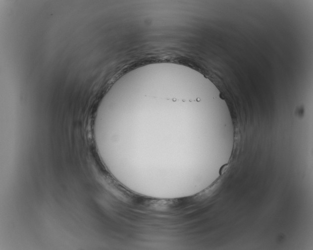 X0000111900182200907271019