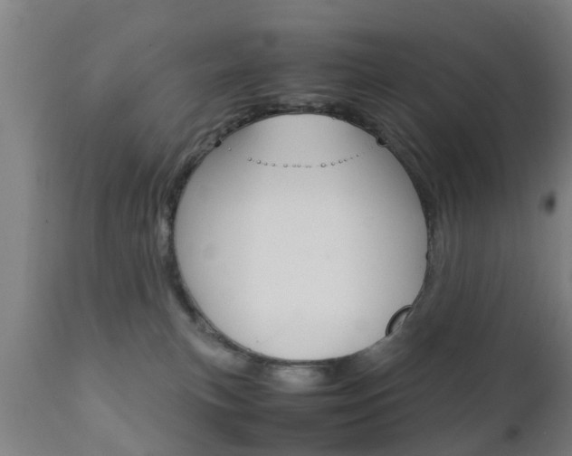X0000111900183200907271019