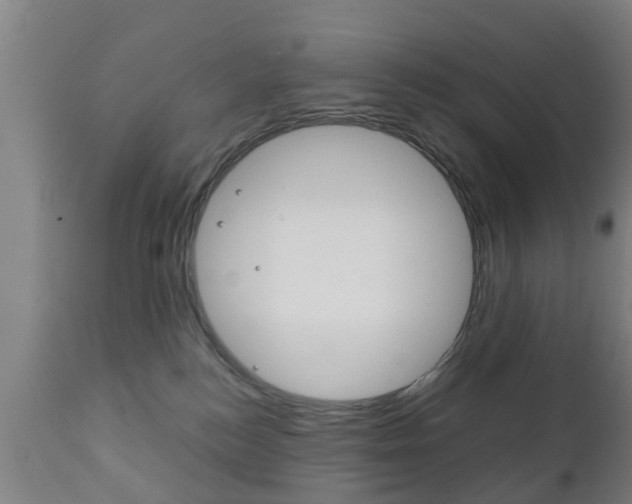 X0000111900184200907271019