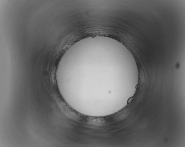 X0000111900185200907271019