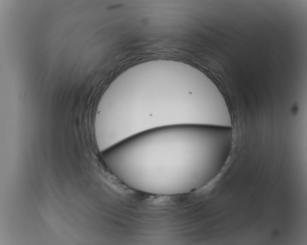 X0000111900186200907271019