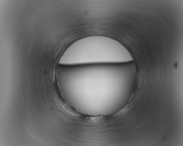 X0000111900188200907271019