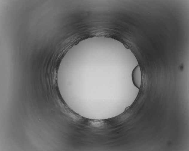 X0000111900189200907271019