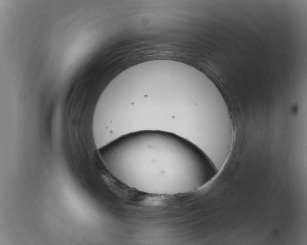X0000111900190200907271019