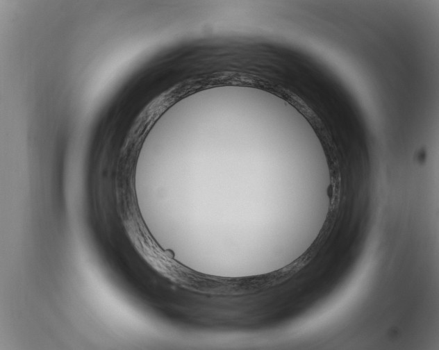 X0000111900191200907271019