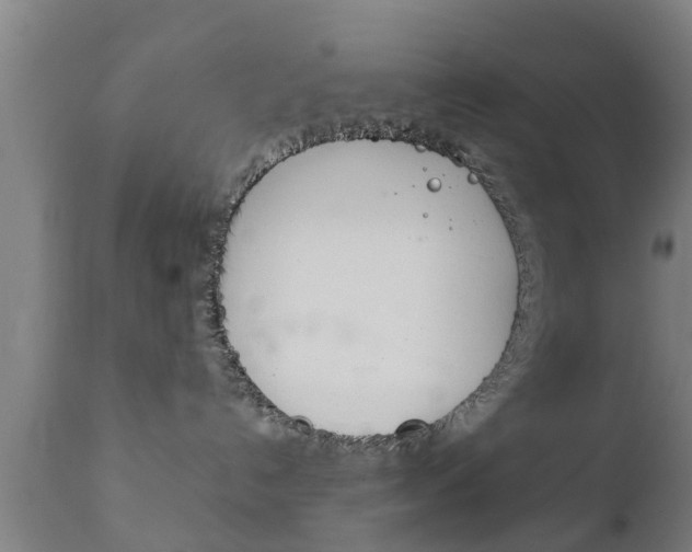 X0000111900192200907271019