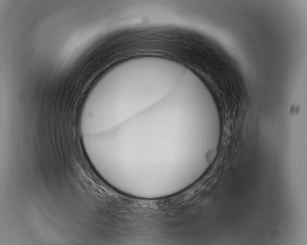 X0000111900194200907271019