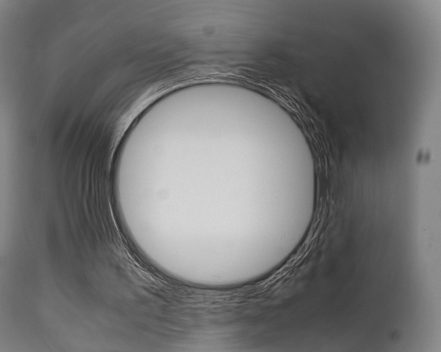 X0000111900195200907271018