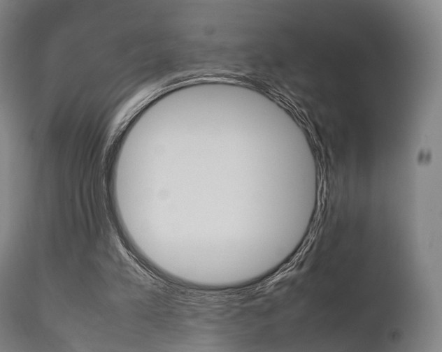 X0000111900197200907271018