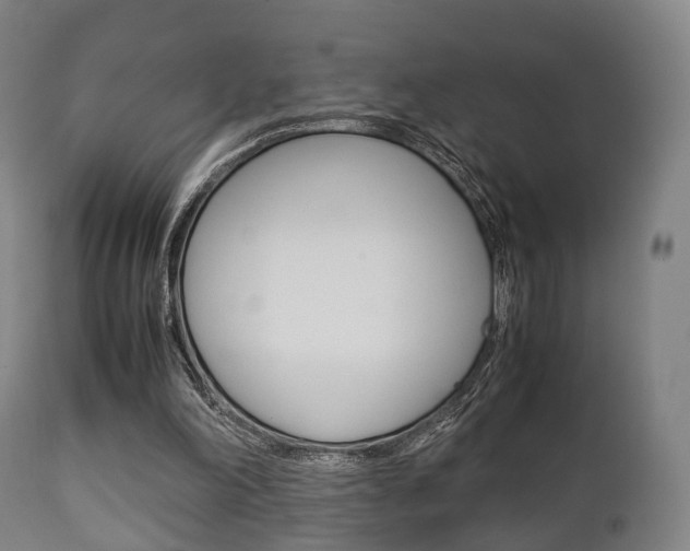 X0000111900198200907271018