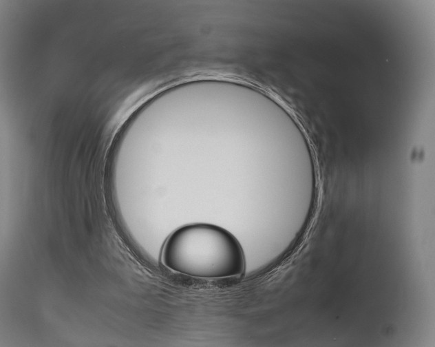 X0000111900199200907271018