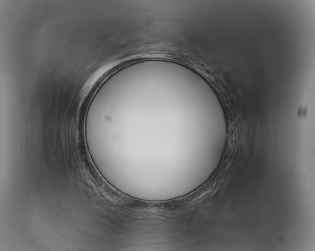 X0000111900200200907271018