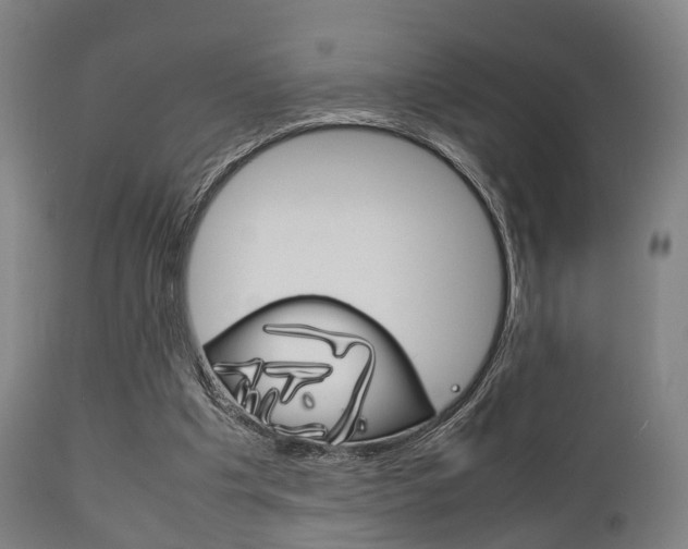 X0000111900201200907271018