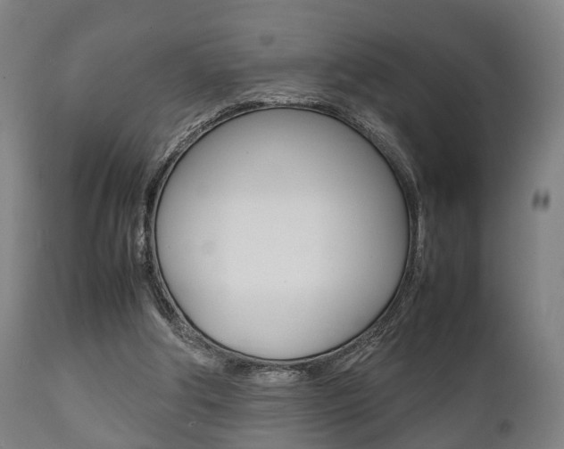 X0000111900202200907271018