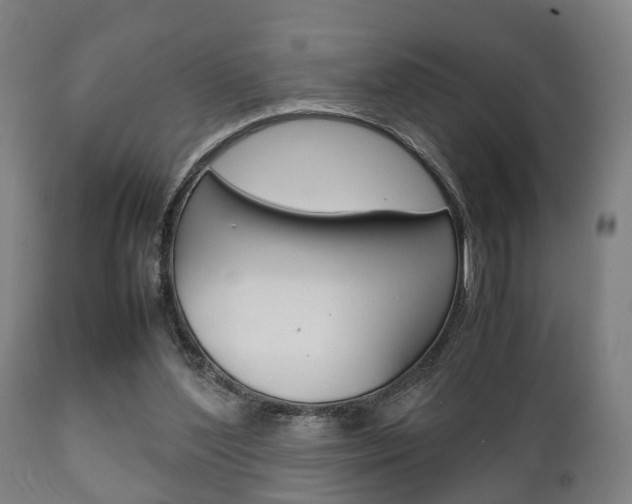 X0000111900204200907271018