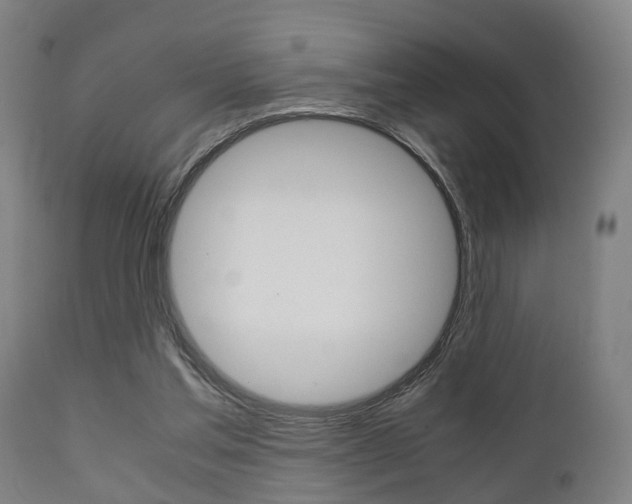 X0000111900205200907271018