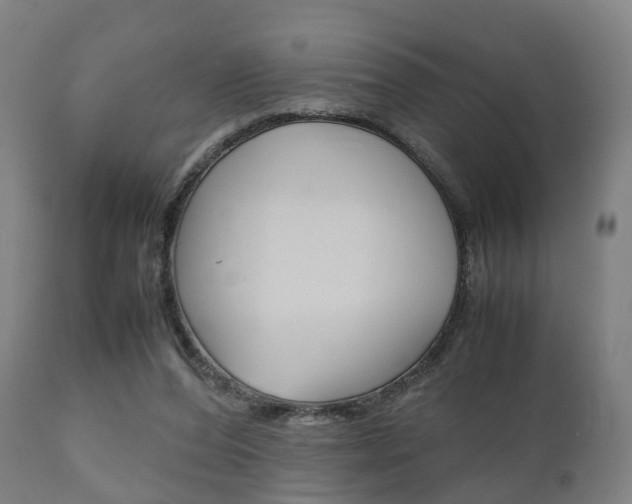 X0000111900208200907271018