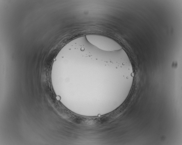 X0000111900209200907271018