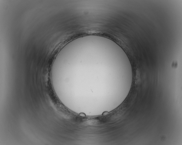 X0000111900210200907271018