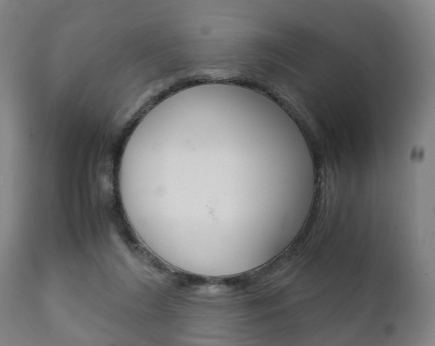 X0000111900212200907271018