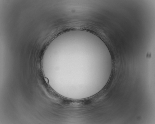 X0000111900213200907271018