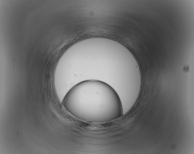 X0000111900215200907271018