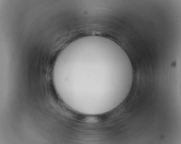 X0000111900218200907271018