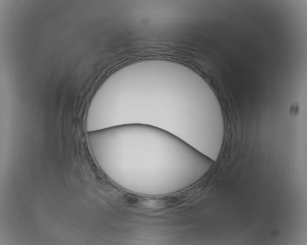 X0000111900221200907271018