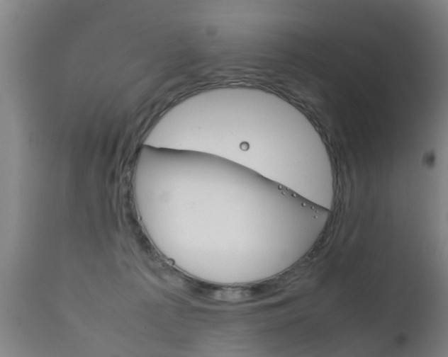 X0000111900225200907271018