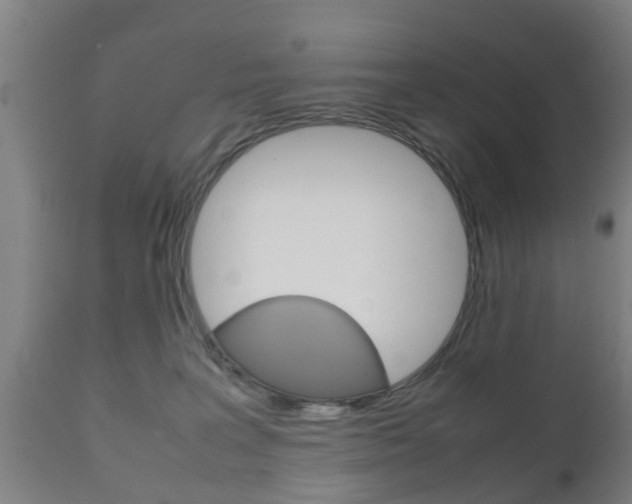 X0000111900227200907271018