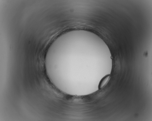 X0000111900228200907271018