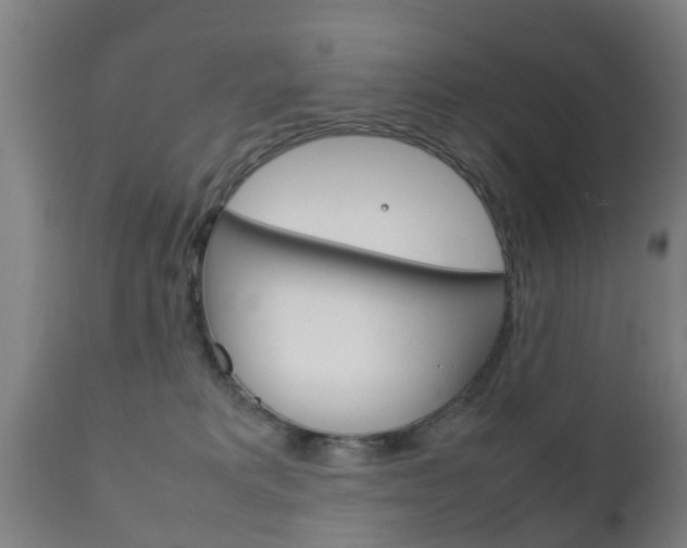 X0000111900229200907271018