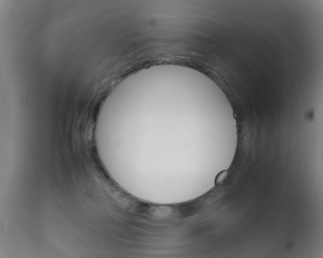 X0000111900230200907271018