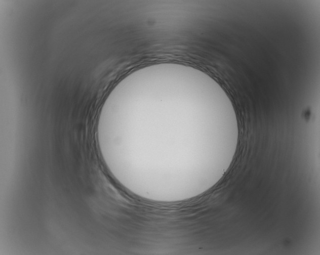 X0000111900231200907271018
