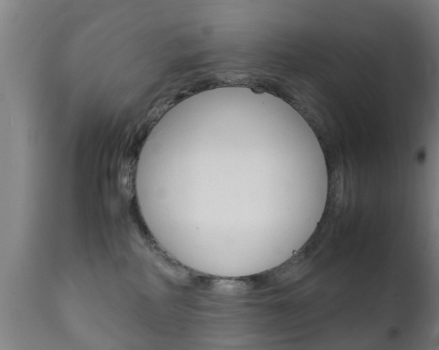 X0000111900234200907271018