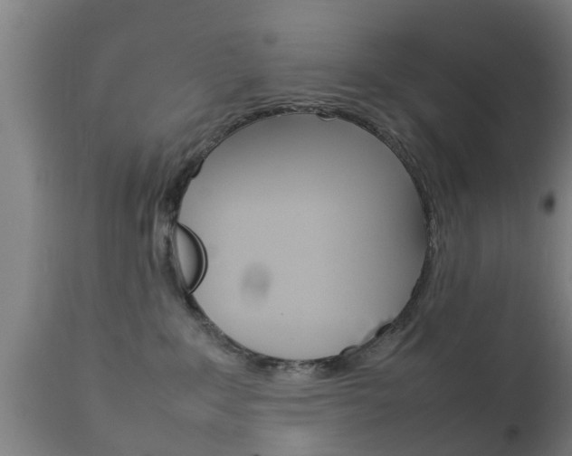 X0000111900235200907271018