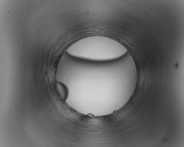 X0000111900236200907271018