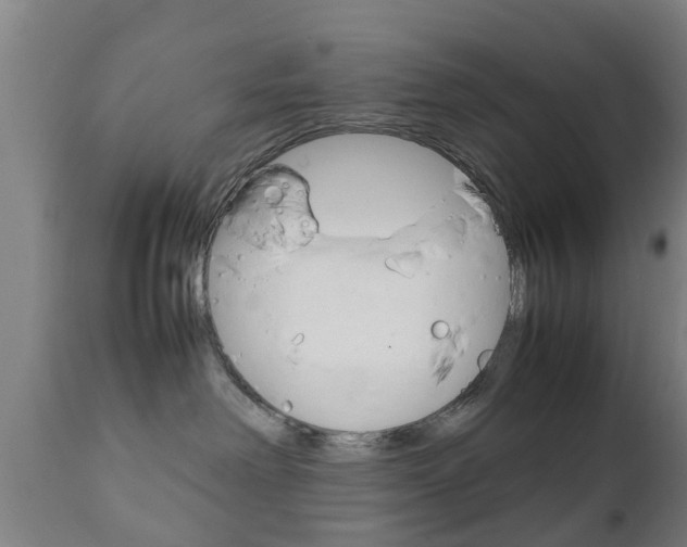 X0000111900238200907271018