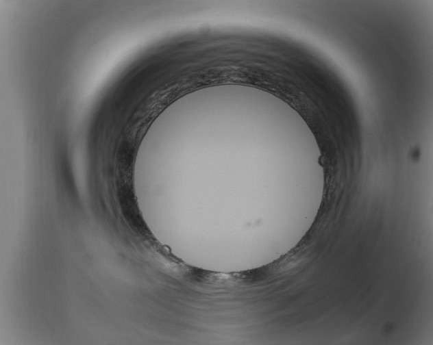 X0000111900239200907271018