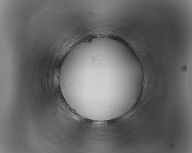 X0000111900240200907271018